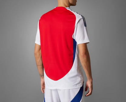 Arsenal Football Club 2024-2025 Season Home Jersey